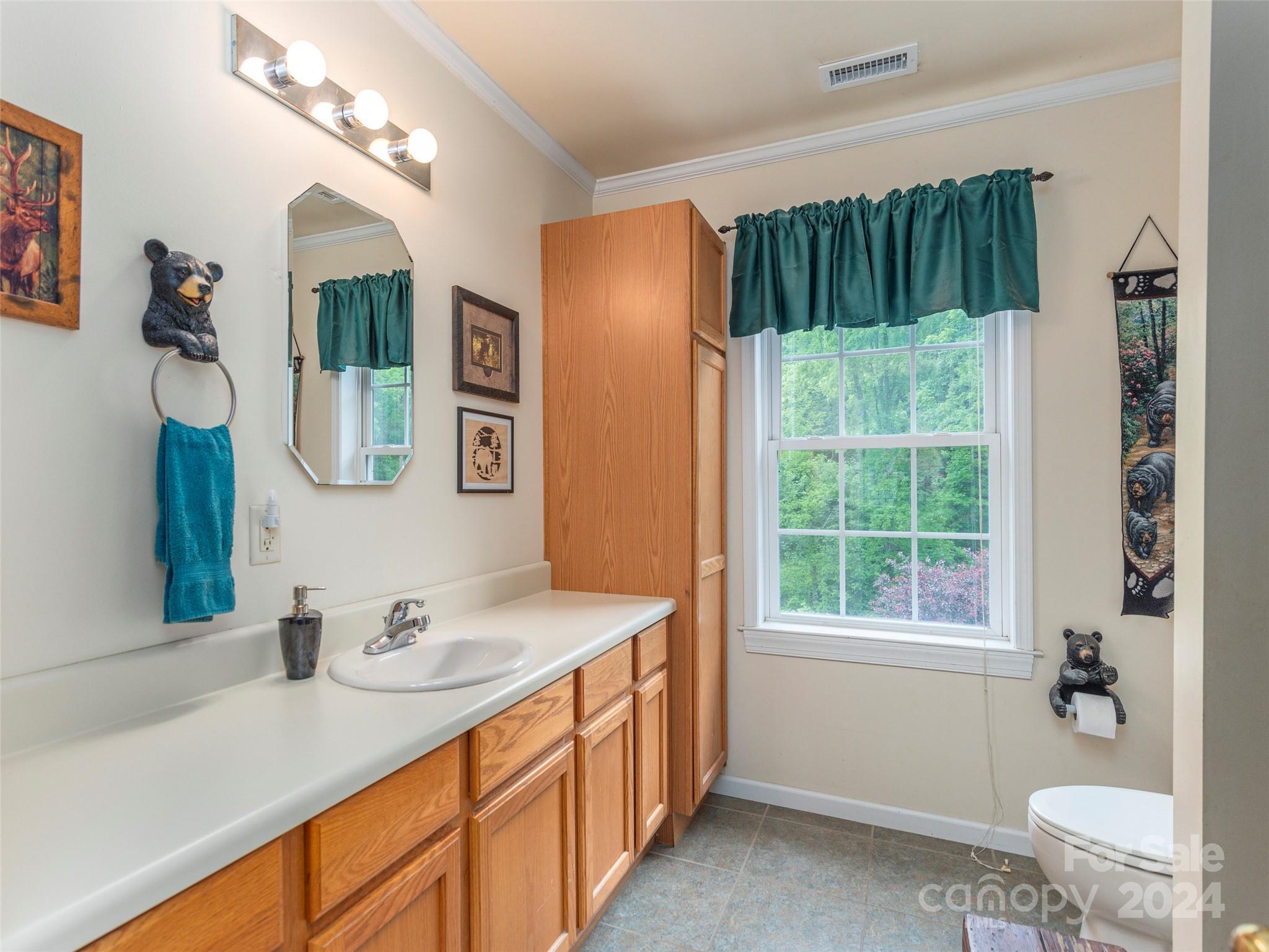 10946 Rush Fork Road Clyde, NC 28721 - Photo 14 of 34