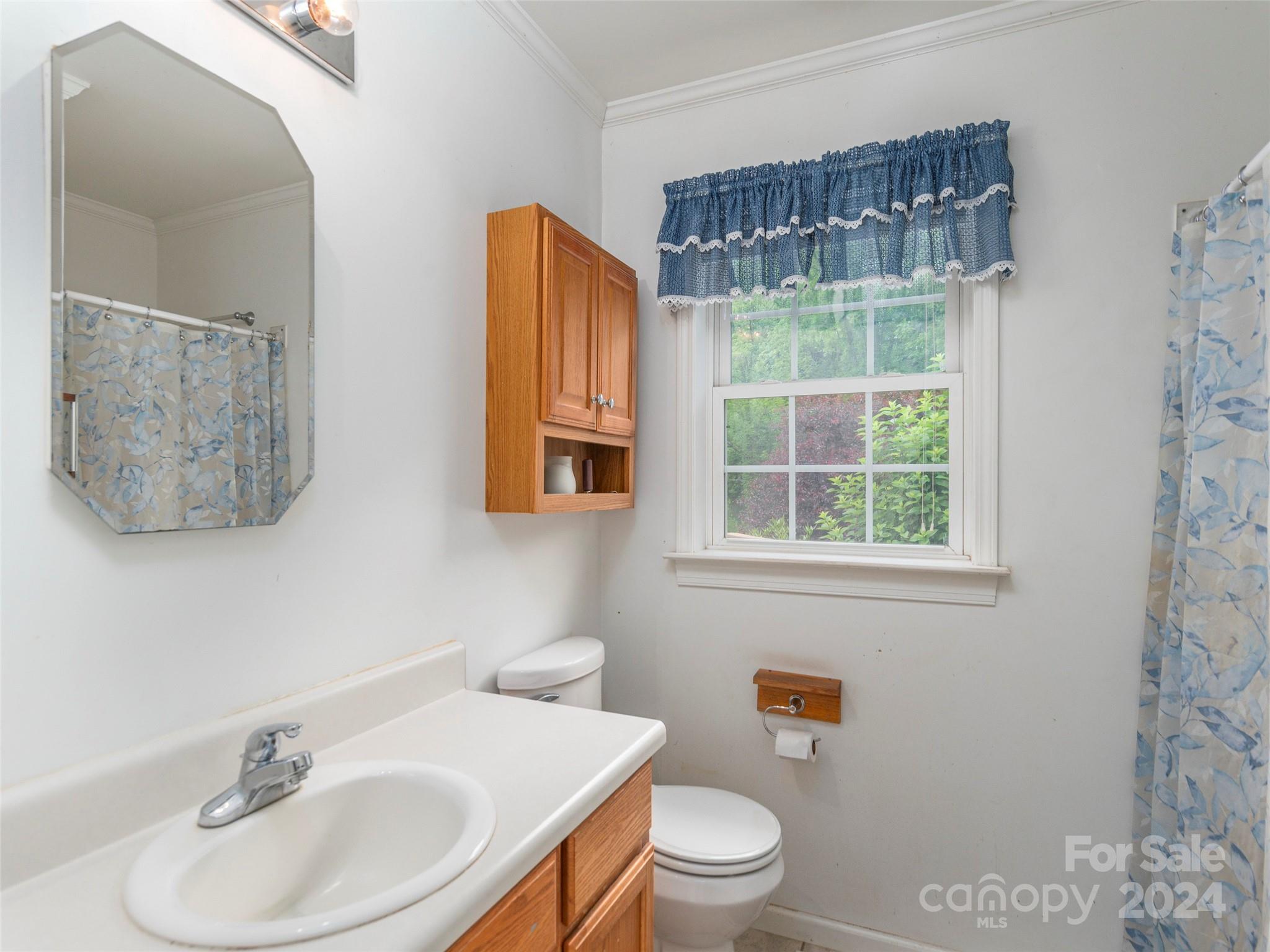 10946 Rush Fork Road Clyde, NC 28721 - Photo 17 of 34