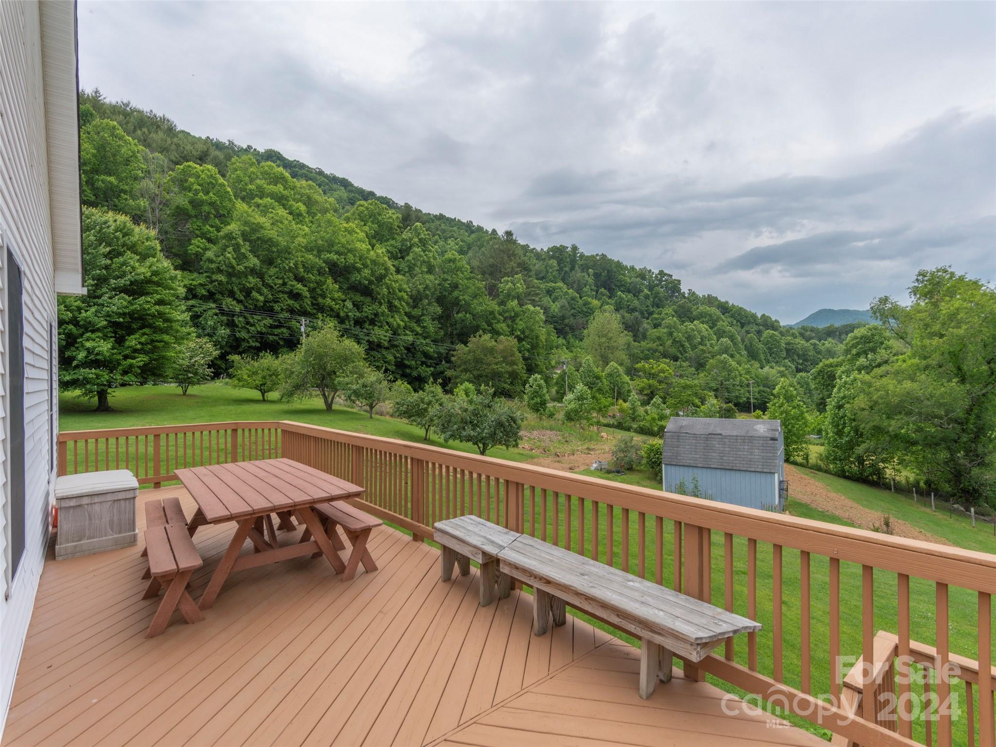 10946 Rush Fork Road Clyde, NC 28721 - Photo 21 of 34