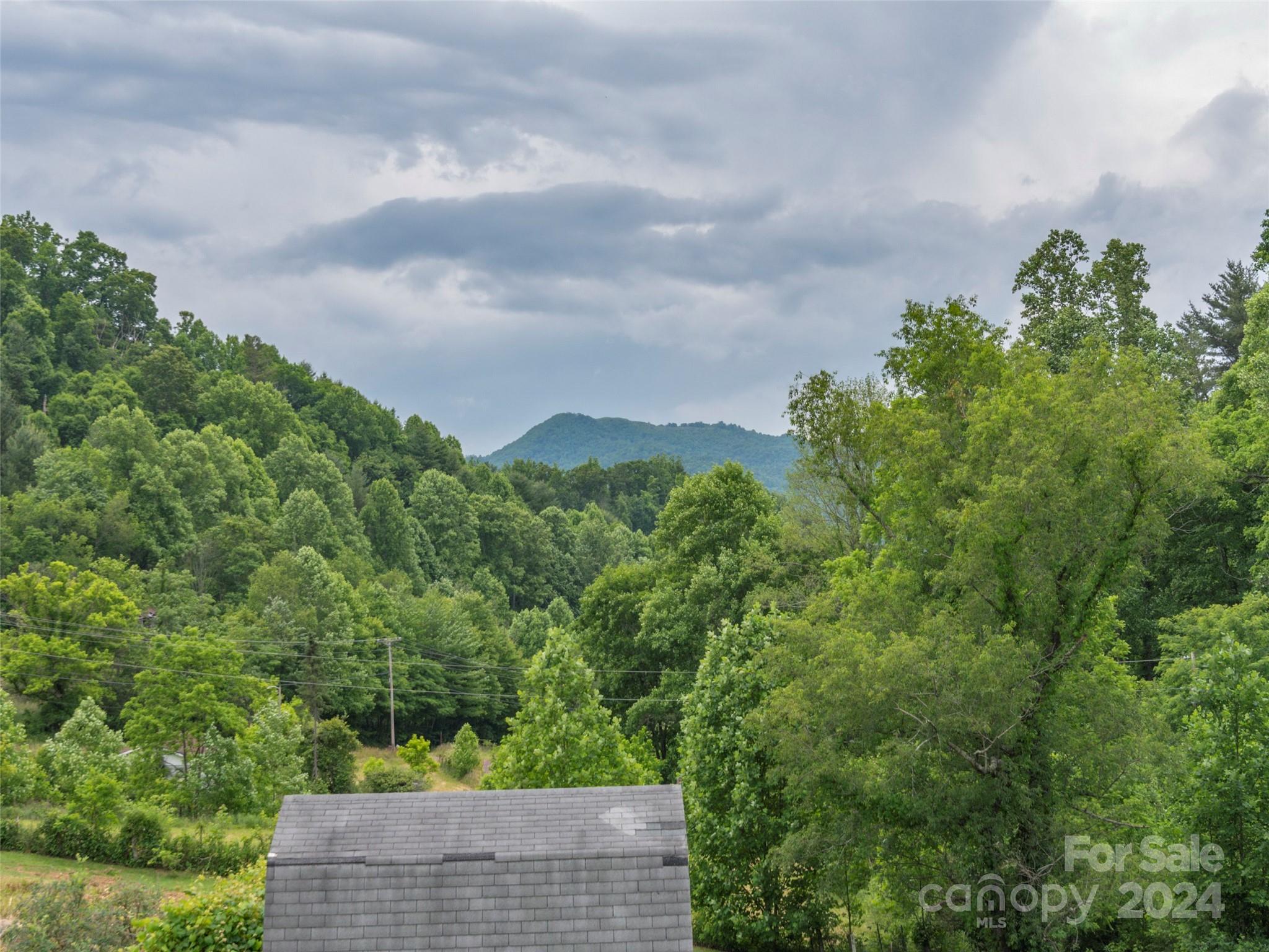 10946 Rush Fork Road Clyde, NC 28721 - Photo 22 of 34