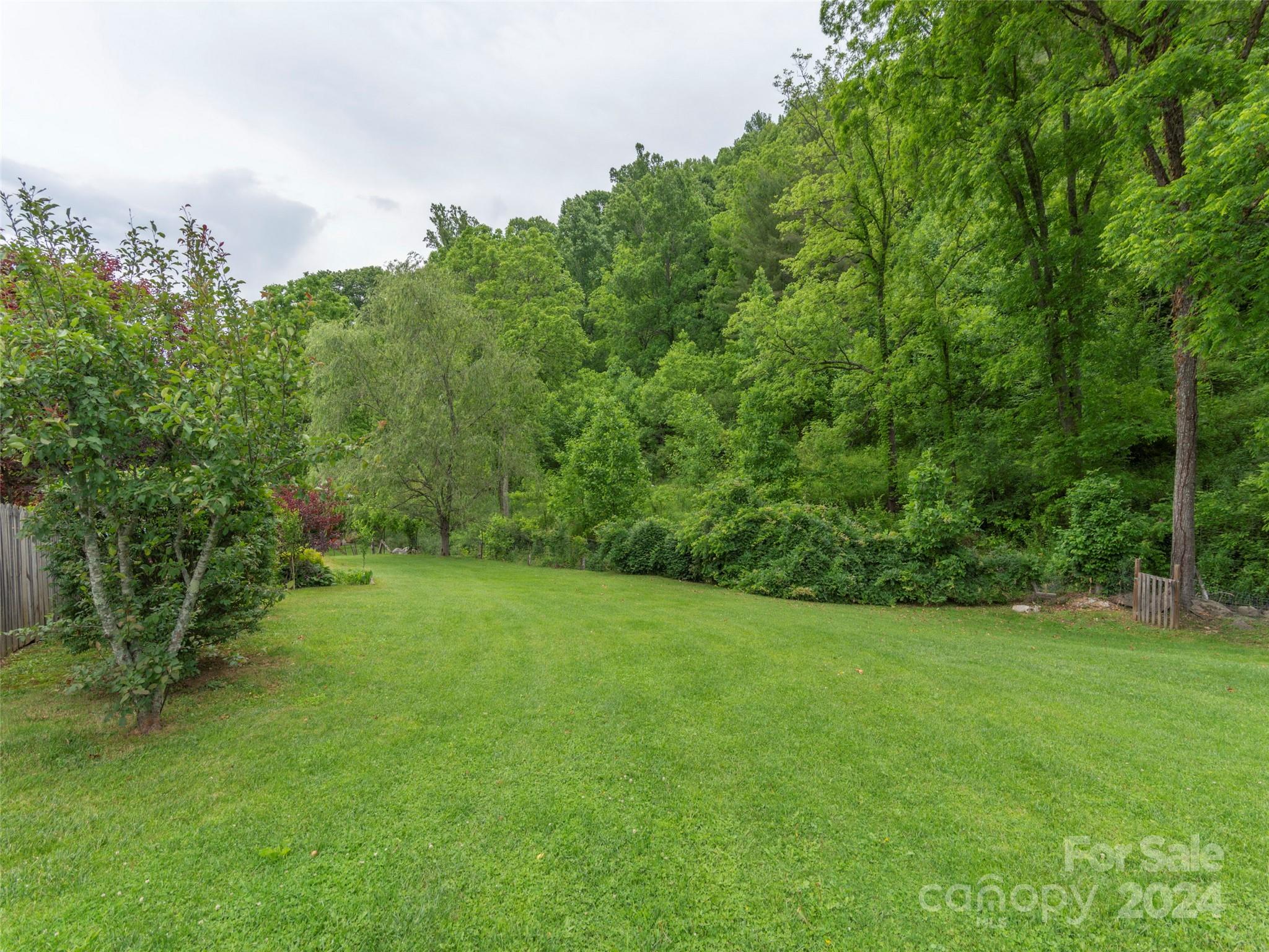 10946 Rush Fork Road Clyde, NC 28721 - Photo 25 of 34