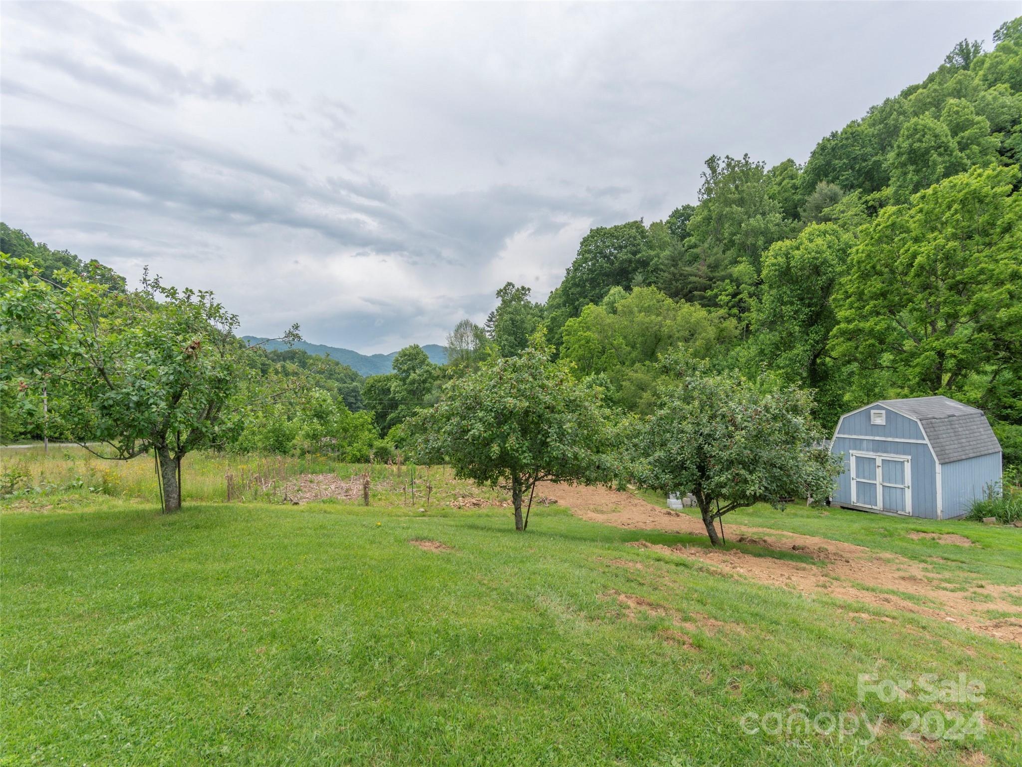 10946 Rush Fork Road Clyde, NC 28721 - Photo 30 of 34