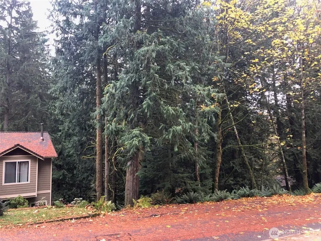 a view of a tree in a yard