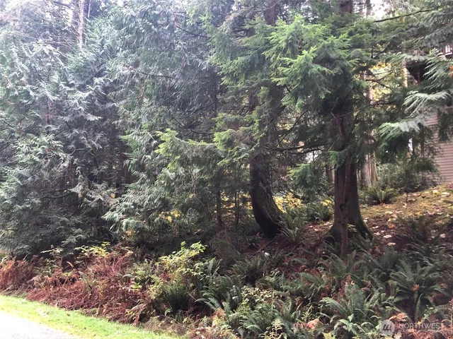 $45,000 | 5 Shetland Court, Bellingham, WA 98229