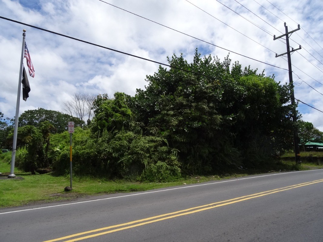 Government Main Road Pahoa, HI 96778 - Photo 3 of 6
