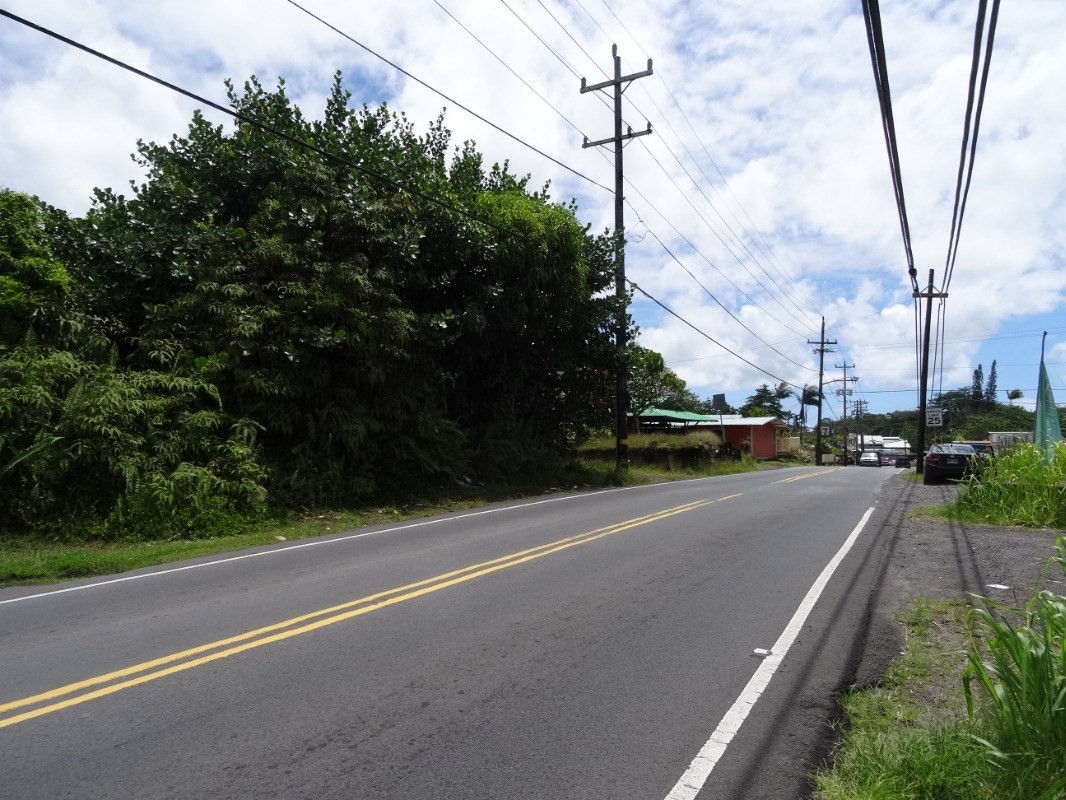 Government Main Road Pahoa, HI 96778 - Photo 4 of 6