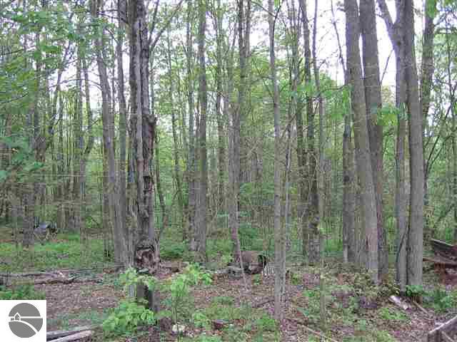 7386 Cunningham Road Northeast Mancelona, MI 49659 - Photo 6 of 14 1717110-5.JPG