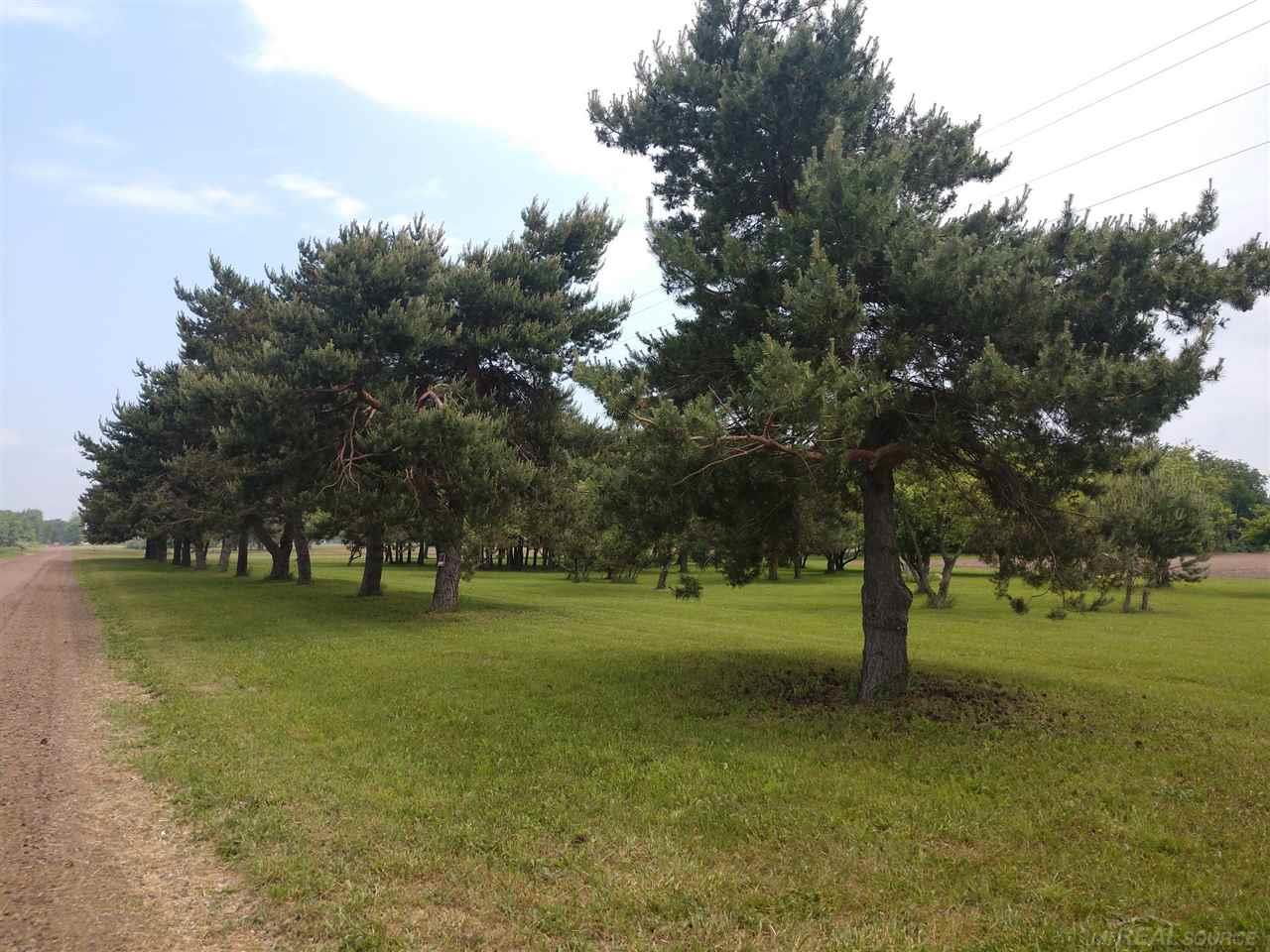 V/l Wagner Road Croswell, MI 48422 - Photo 9 of 11