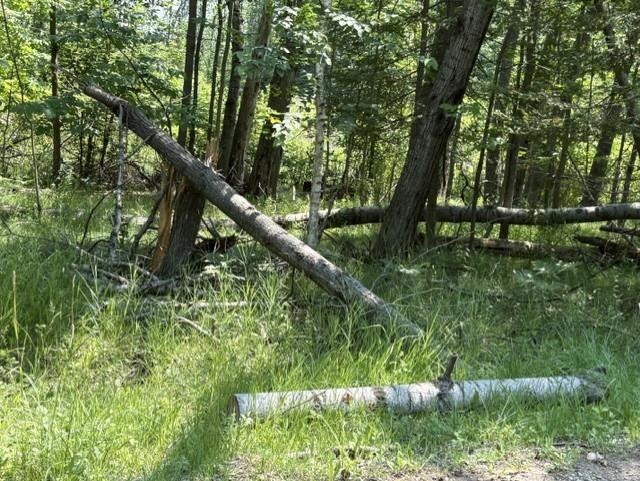 61 Rolling Hills Road West Branch, MI 48661 - Photo 11 of 11 1947956-8e0caf46-22a8-4155-93da-8fc2a6a48e66.JPG