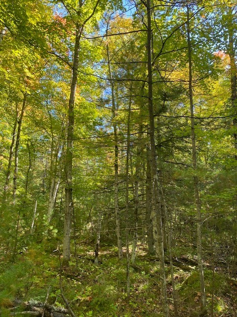 8658 Spring Road Fish Creek, WI 54212 - Photo 8 of 18 Gallery Image 8