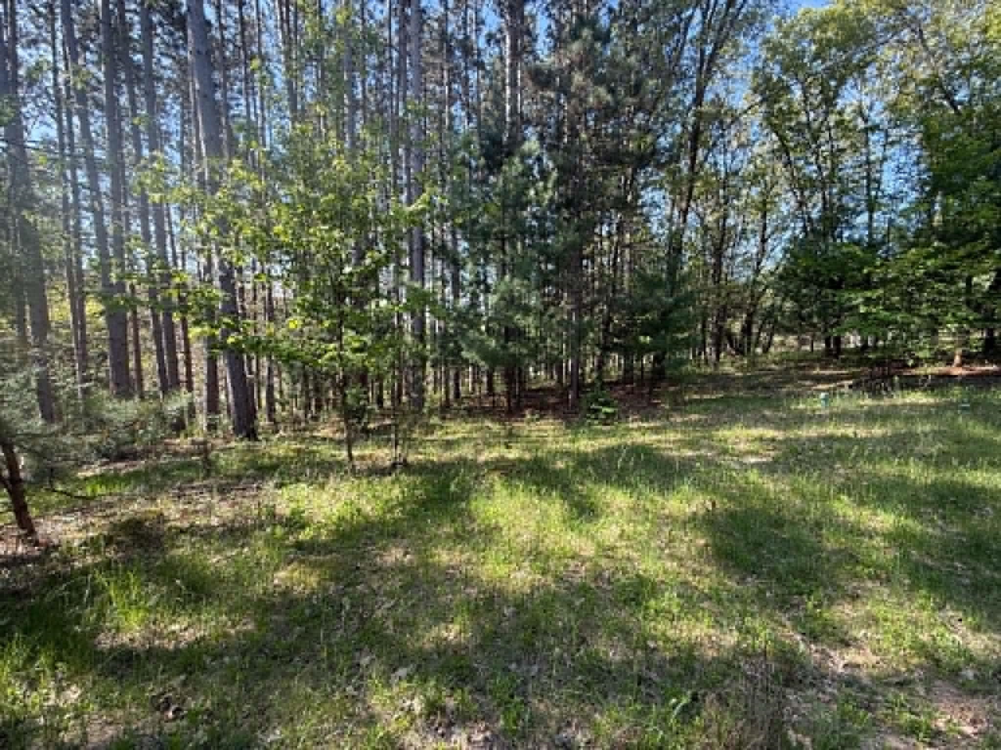 2829 4th Oxford, WI 53952 - Photo 10 of 13