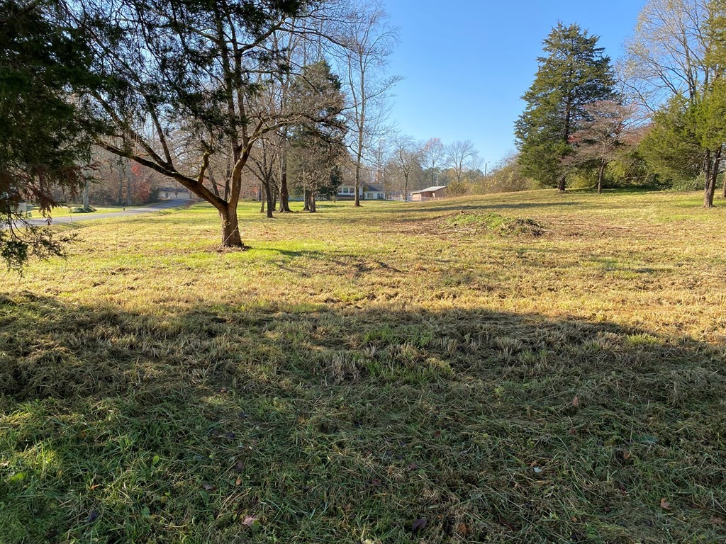 0 Patterson Road Southeast Cleveland, TN 37323 - Photo 2 of 2