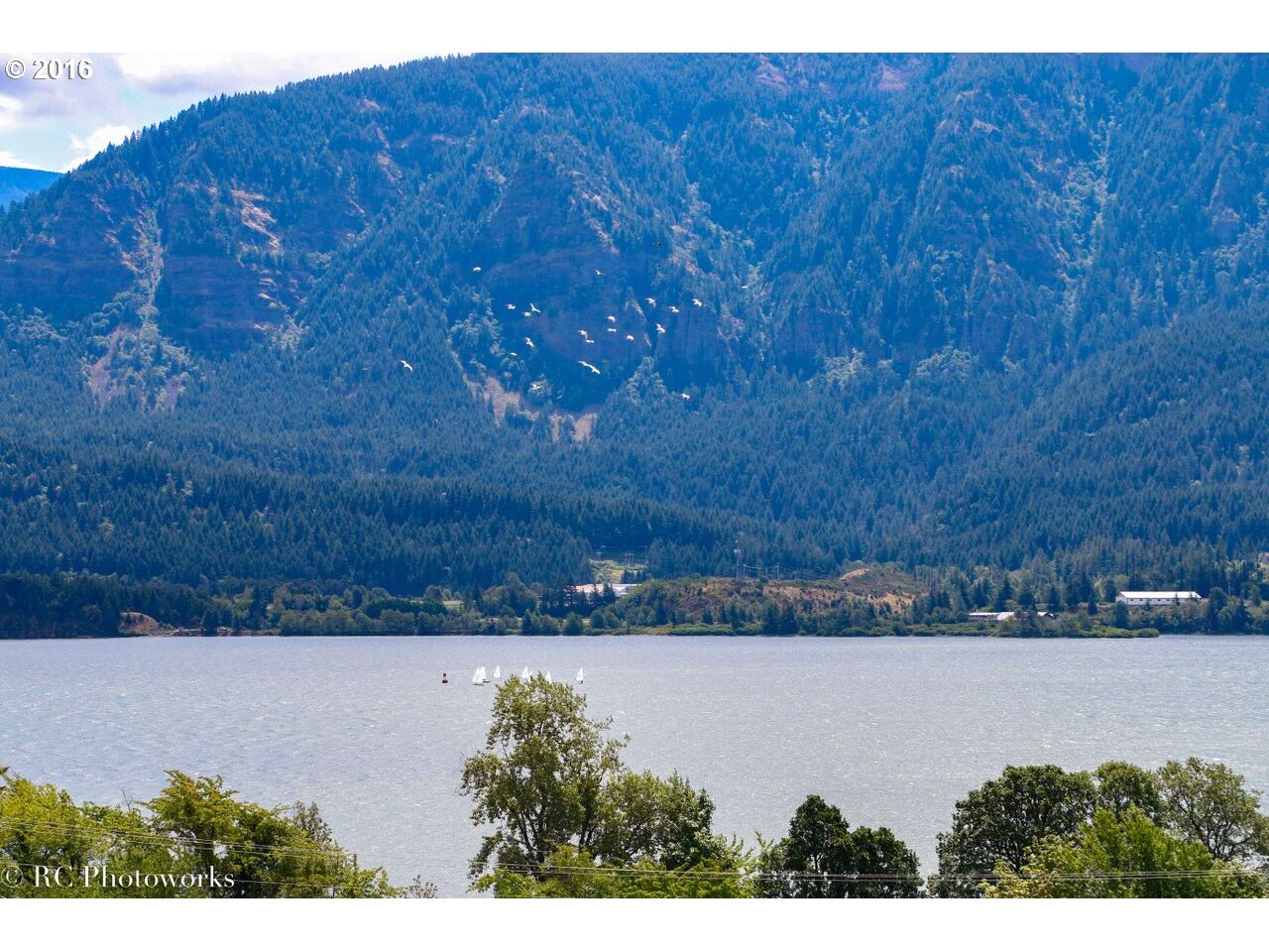 293 Lutheran Church Road Stevenson, WA 98648 - Photo 4 of 24