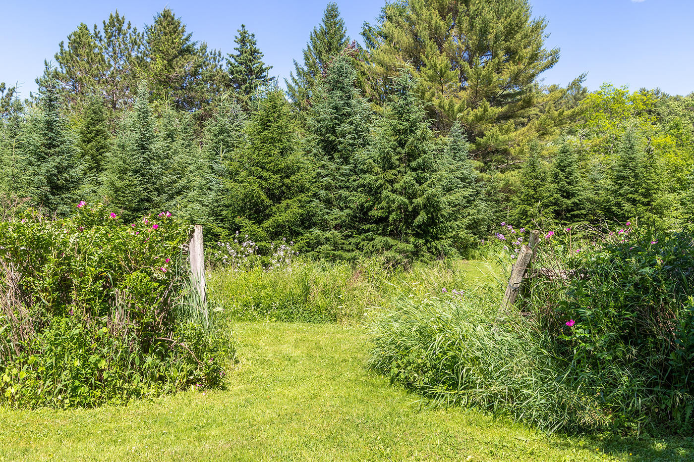 142 Oyster River Road Warren, ME 04864 - Photo 25 of 29 Yard