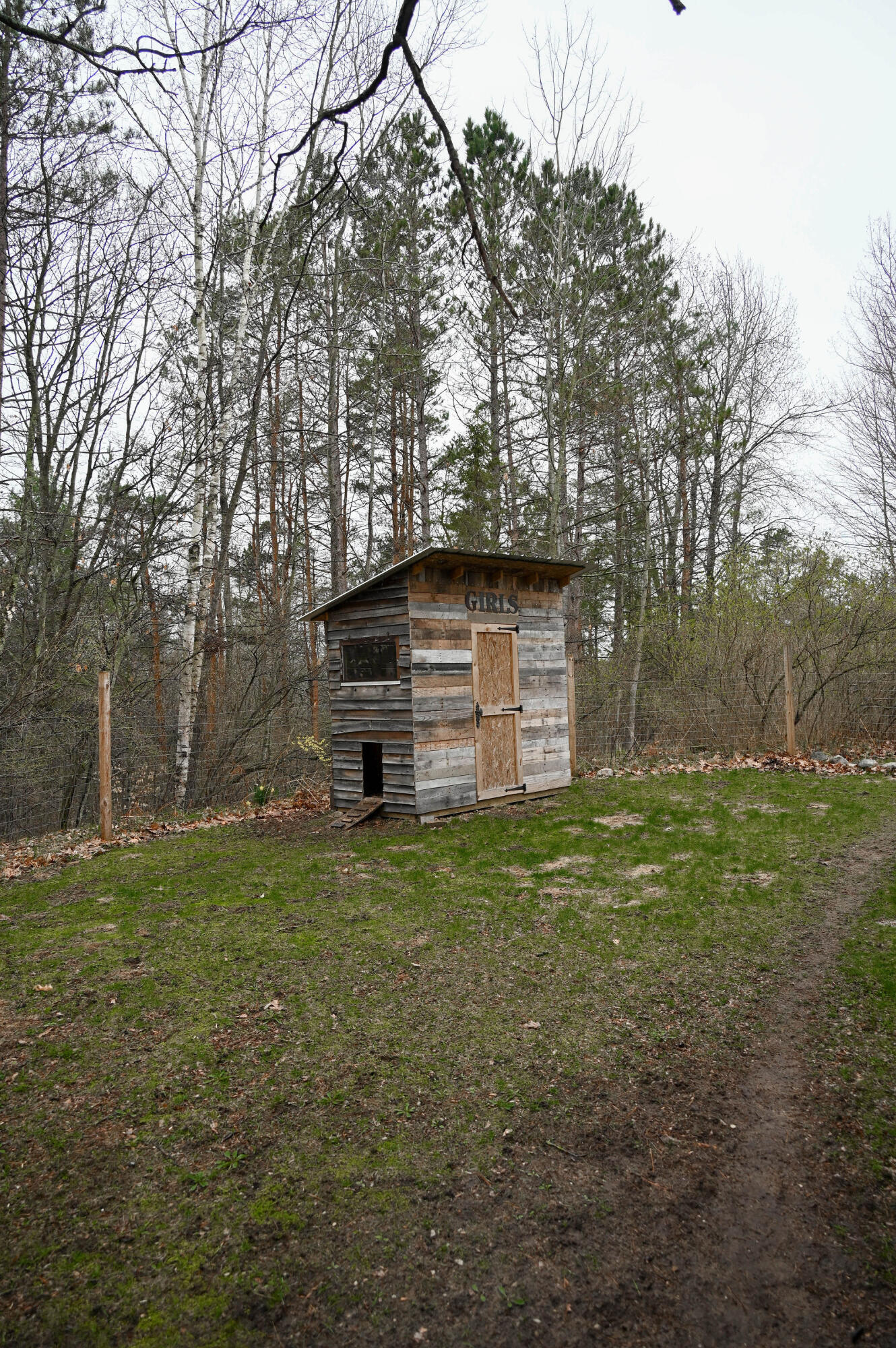 3315 Rose Road Brethren, MI 49619 - Photo 14 of 61 Chicken Coop