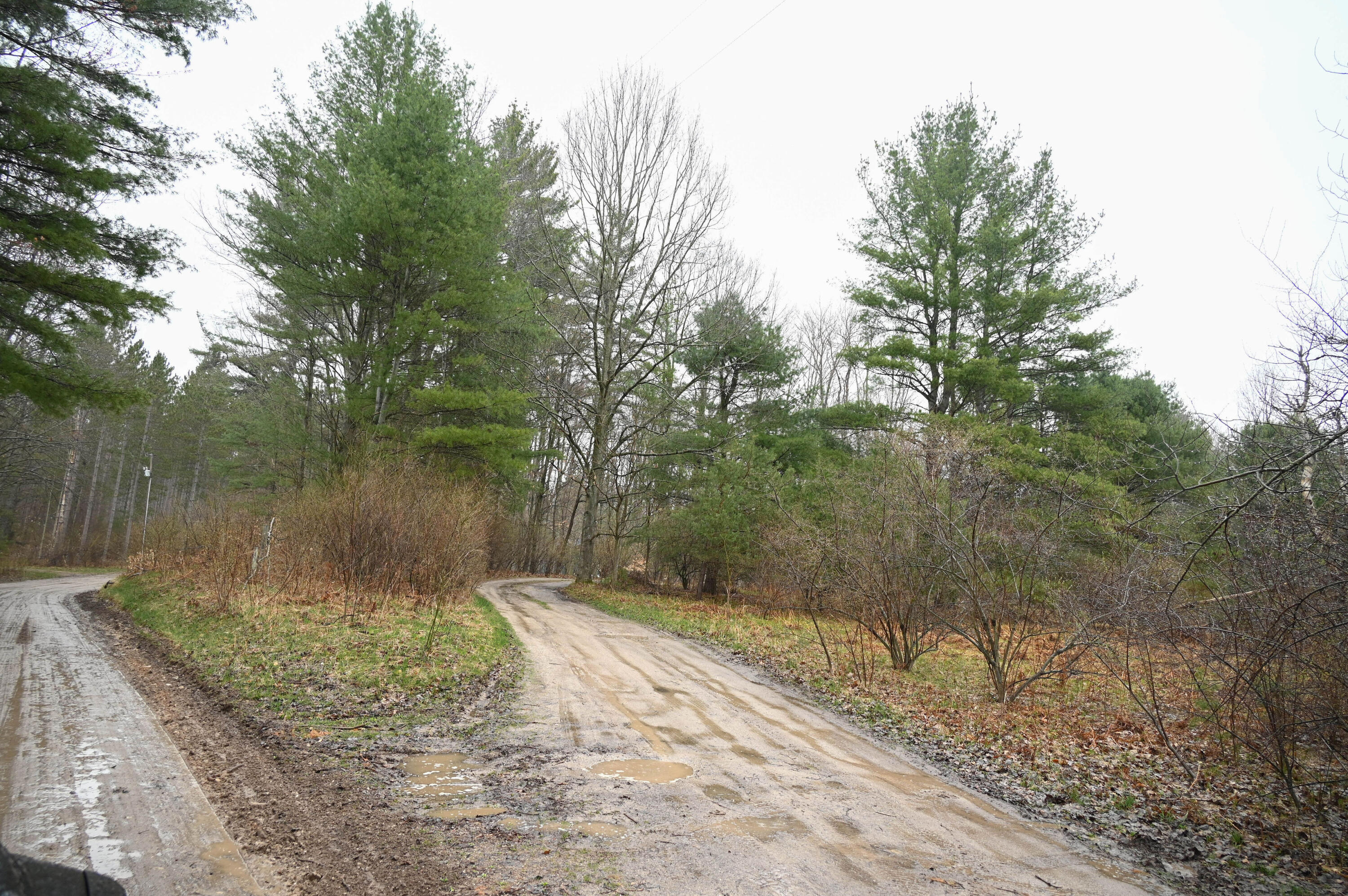 3315 Rose Road Brethren, MI 49619 - Photo 56 of 61 Driveway