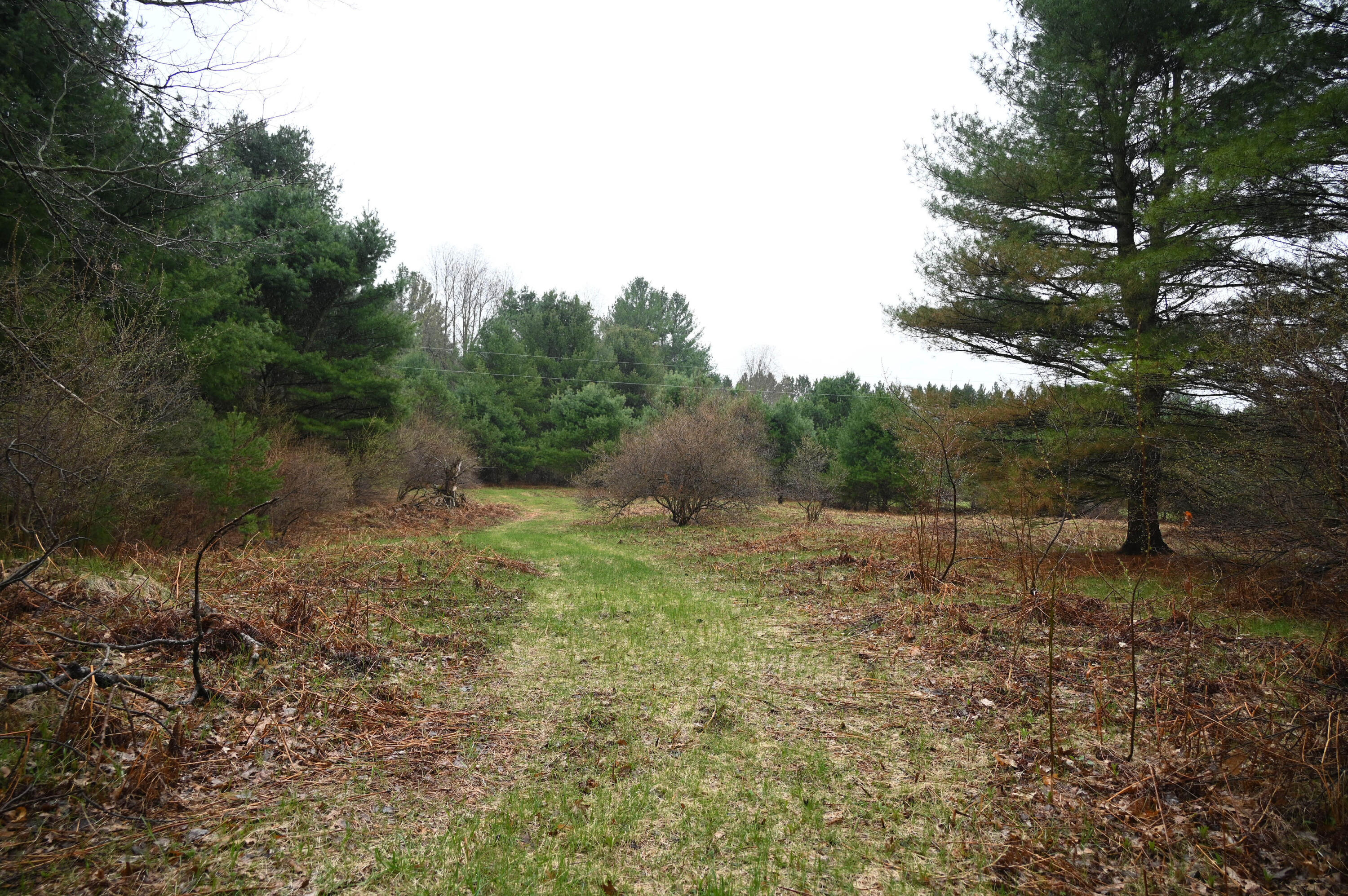 3315 Rose Road Brethren, MI 49619 - Photo 57 of 61 Land