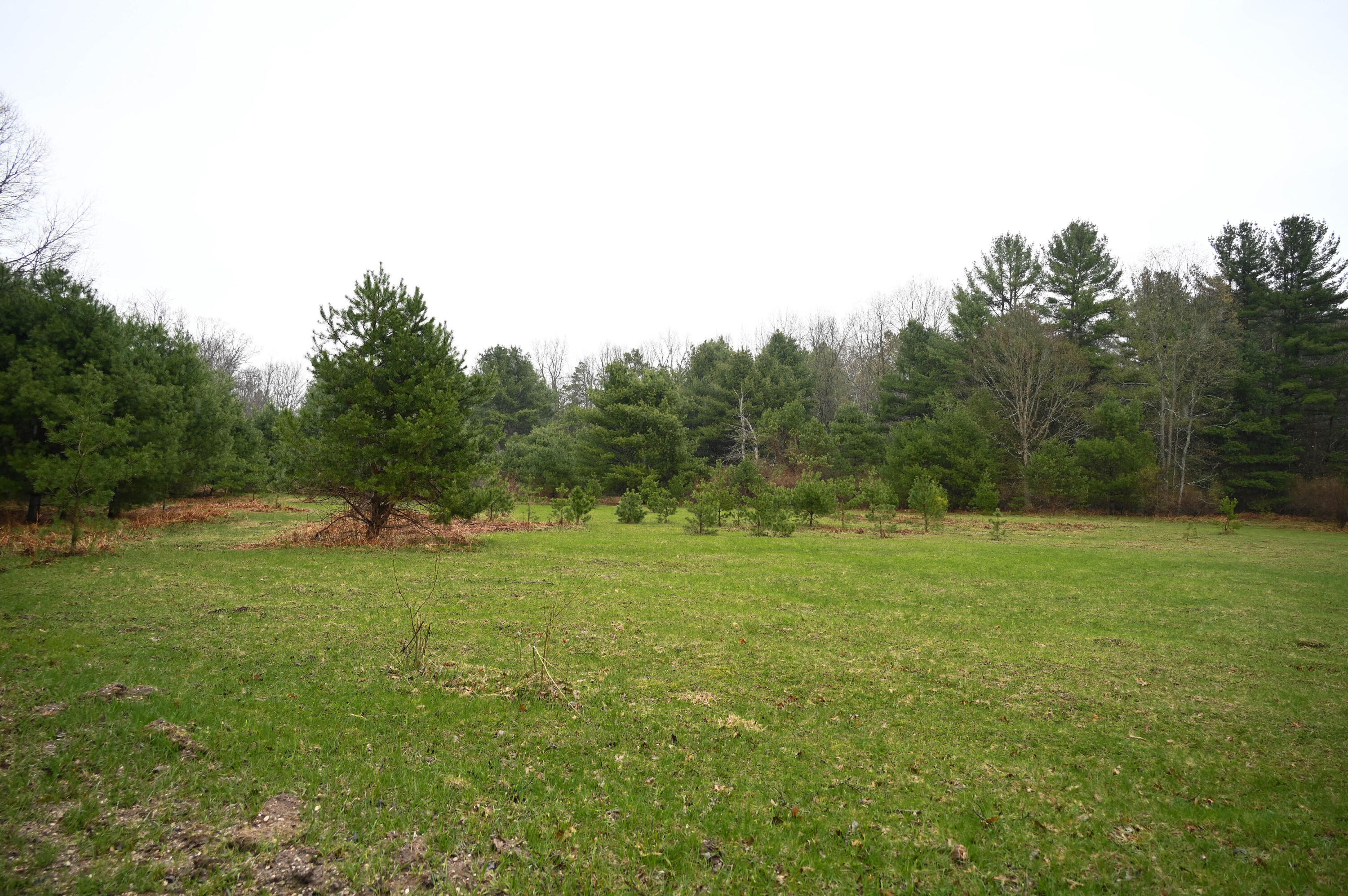 3315 Rose Road Brethren, MI 49619 - Photo 59 of 61 Land