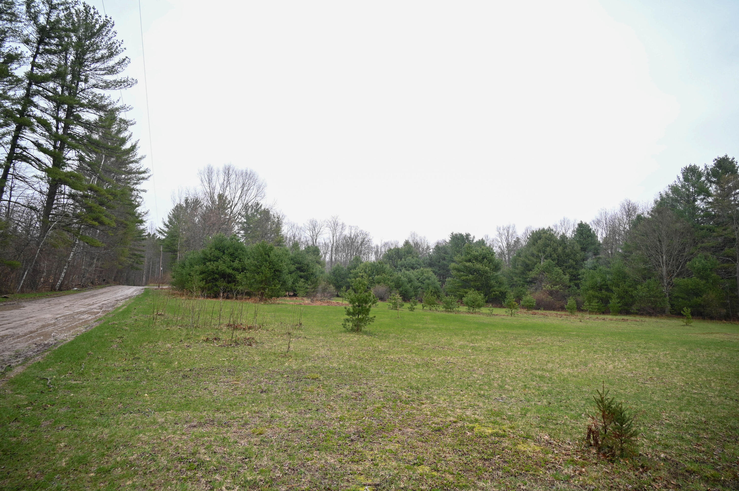3315 Rose Road Brethren, MI 49619 - Photo 60 of 61 Land