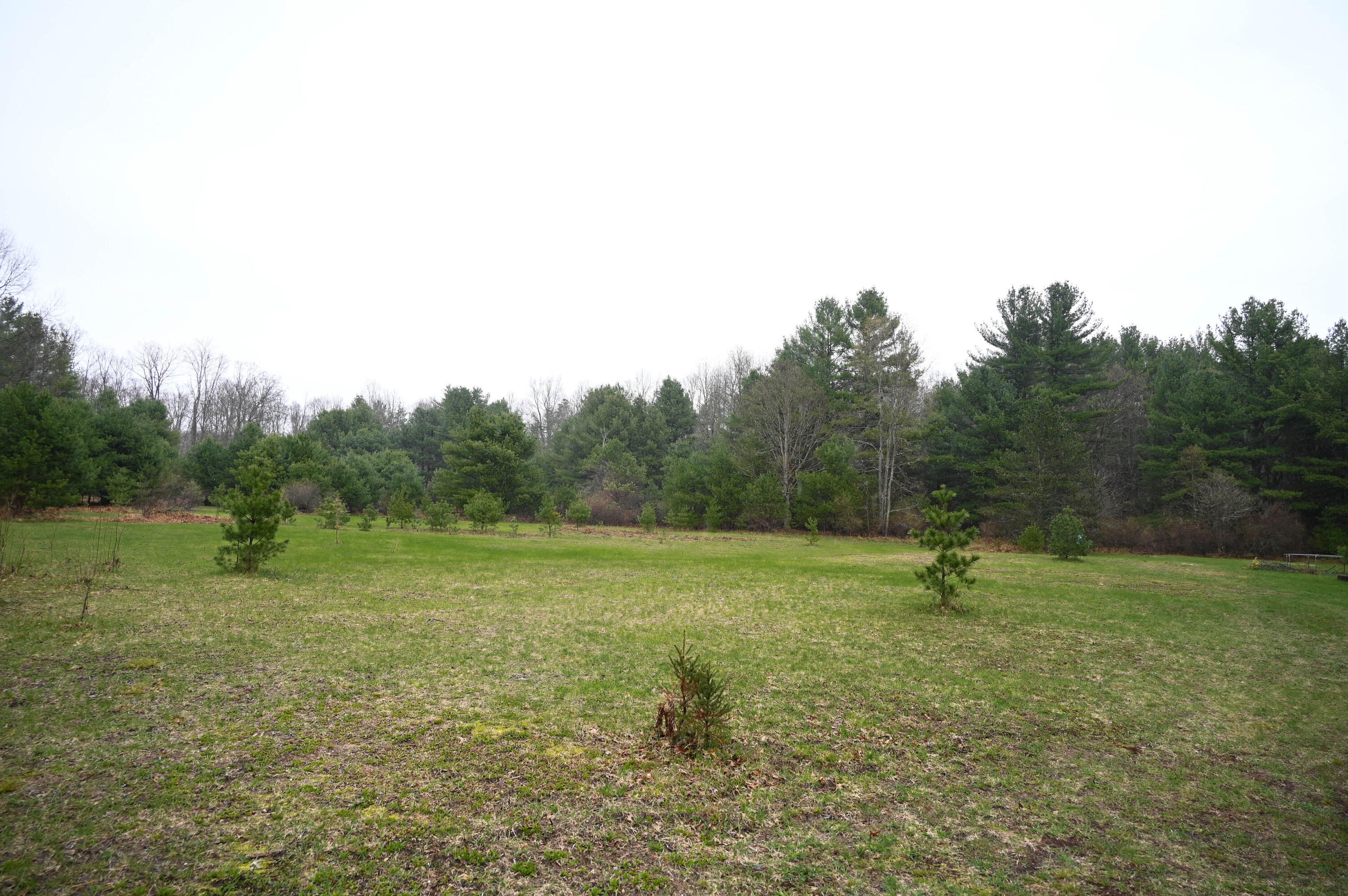 3315 Rose Road Brethren, MI 49619 - Photo 61 of 61 Land