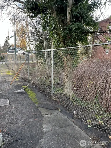 a view of a yard with a tree