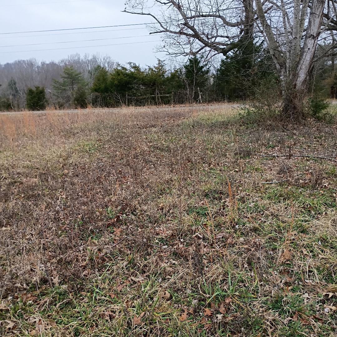 497 Old Bethel Road Monticello, KY 42633 - Photo 15 of 21 thumbnail 11