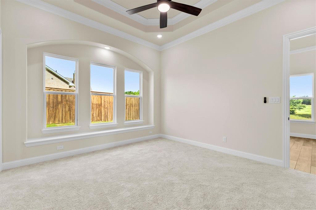 3690 Jack's Loop Midlothian, TX 76065 - Photo 29 of 37