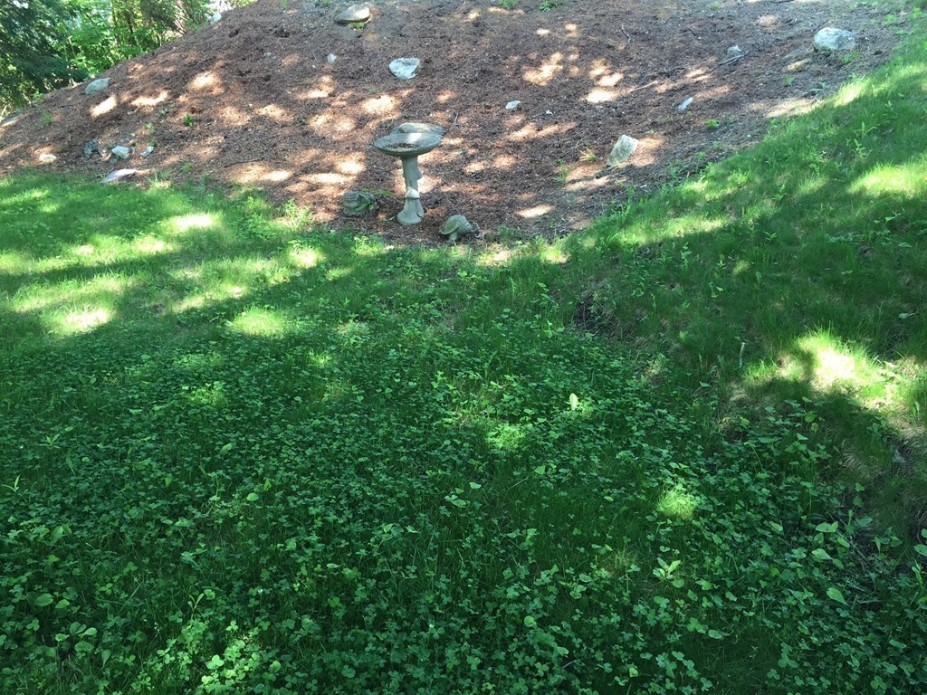 112 Hampton Street Auburn, MA 01501 - Photo 29 of 30