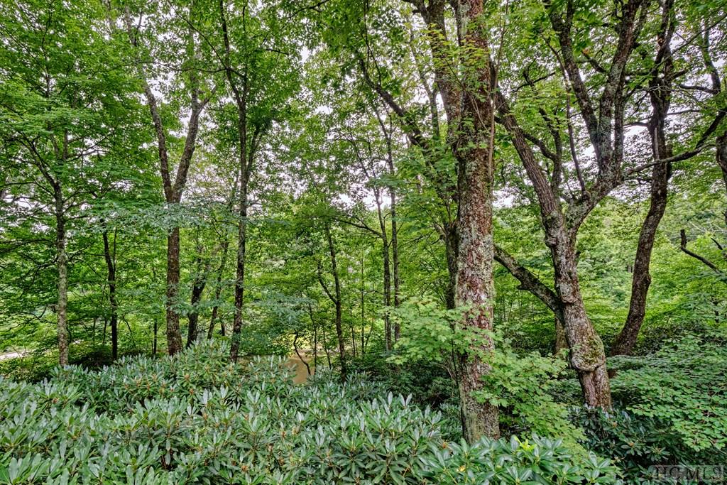 309 Upper Lake Road Highlands, NC 28741 - Photo 17 of 30 Gallery Image 17