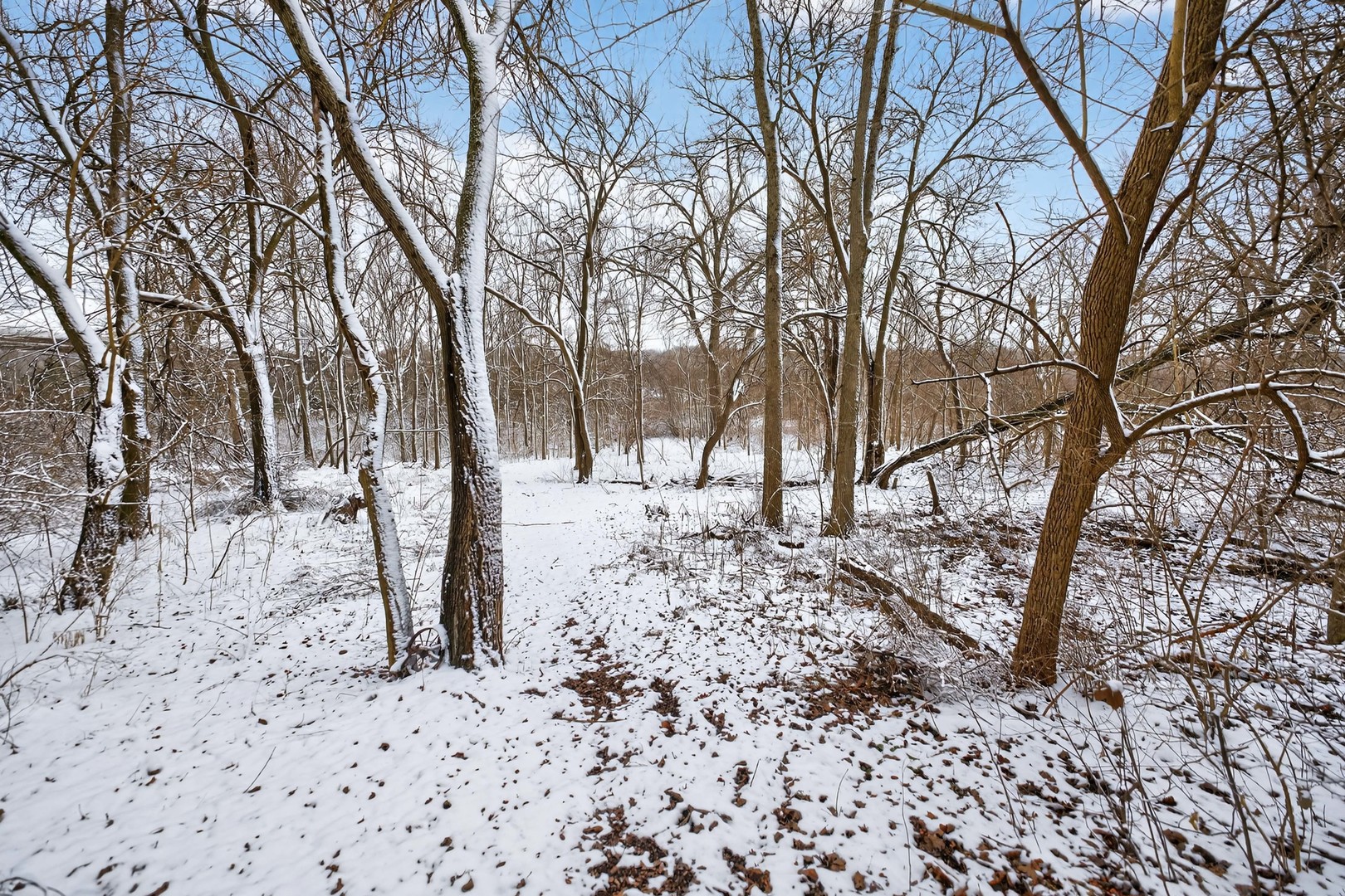 12070 River Road Plano, IL 60545 - Photo 73 of 90
