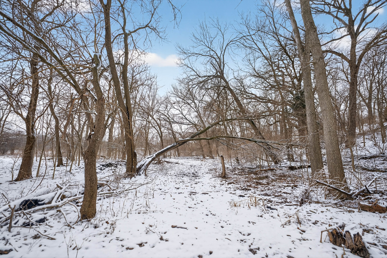 12070 River Road Plano, IL 60545 - Photo 74 of 90