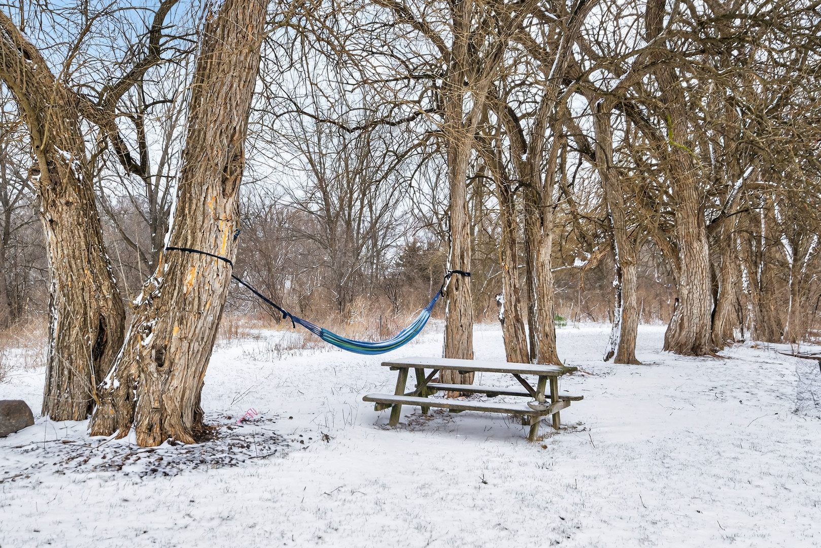 12070 River Road Plano, IL 60545 - Photo 80 of 90