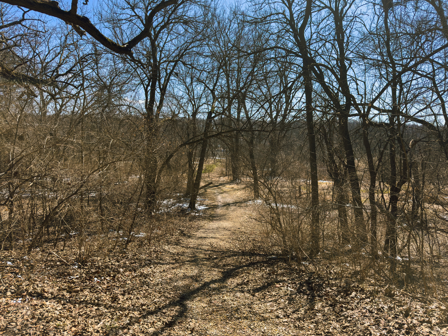 12070 River Road Plano, IL 60545 - Photo 85 of 90