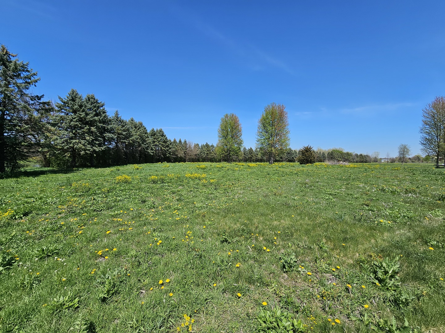 39-w966 Main Street Road Batavia, IL 60510 - Photo 1 of 20 Gallery Image 1
