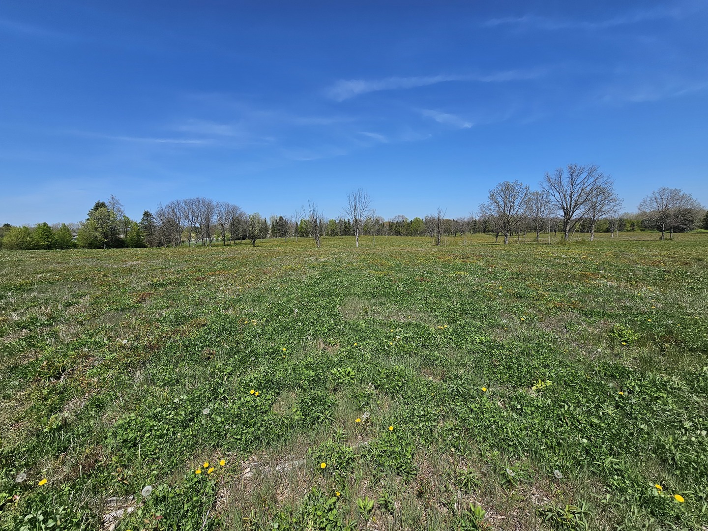 39-w966 Main Street Road Batavia, IL 60510 - Photo 11 of 20 Gallery Image 11