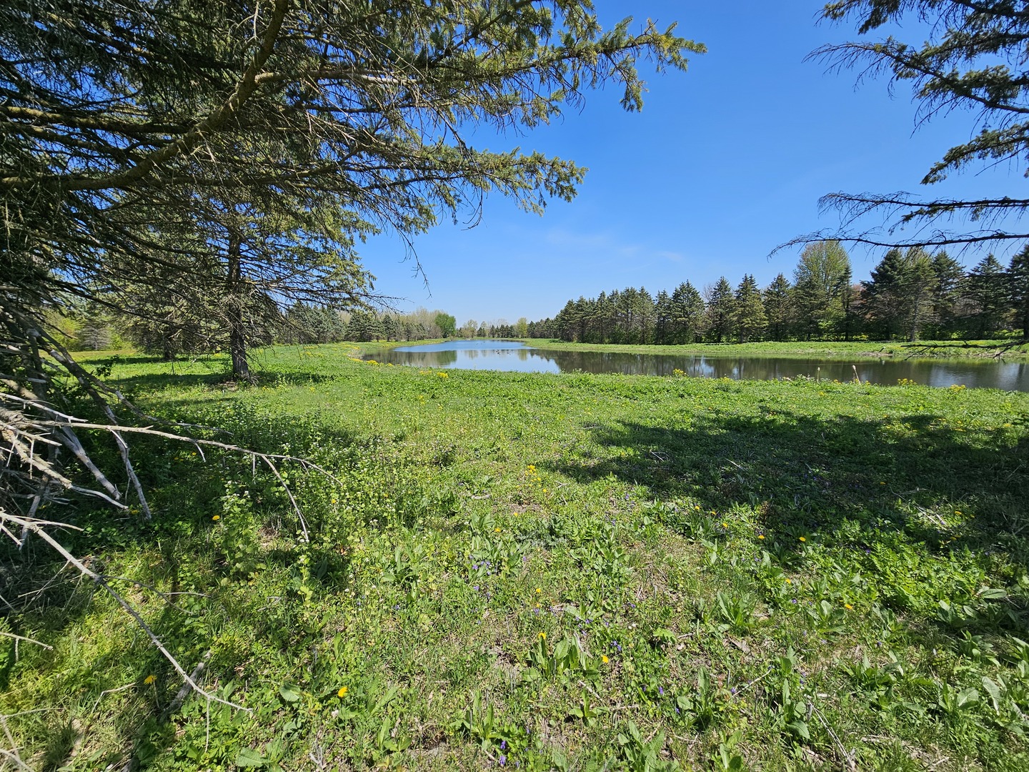 39-w966 Main Street Road Batavia, IL 60510 - Photo 13 of 20 Gallery Image 13