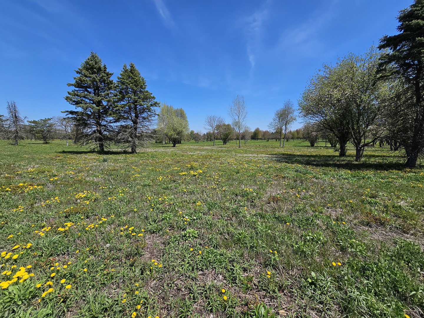 39-w966 Main Street Road Batavia, IL 60510 - Photo 7 of 20 Gallery Image 7