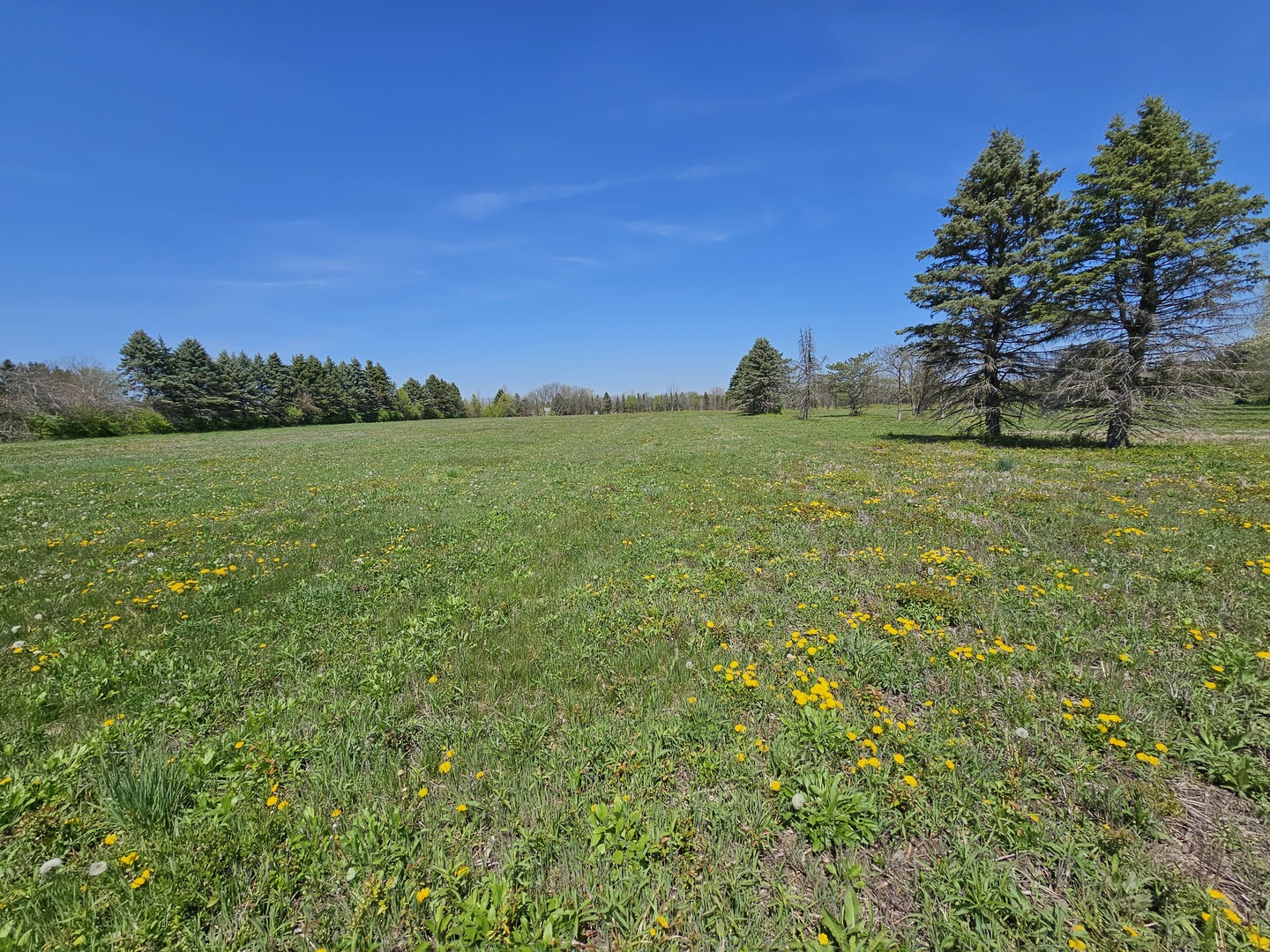39-w966 Main Street Road Batavia, IL 60510 - Photo 8 of 20 Gallery Image 8