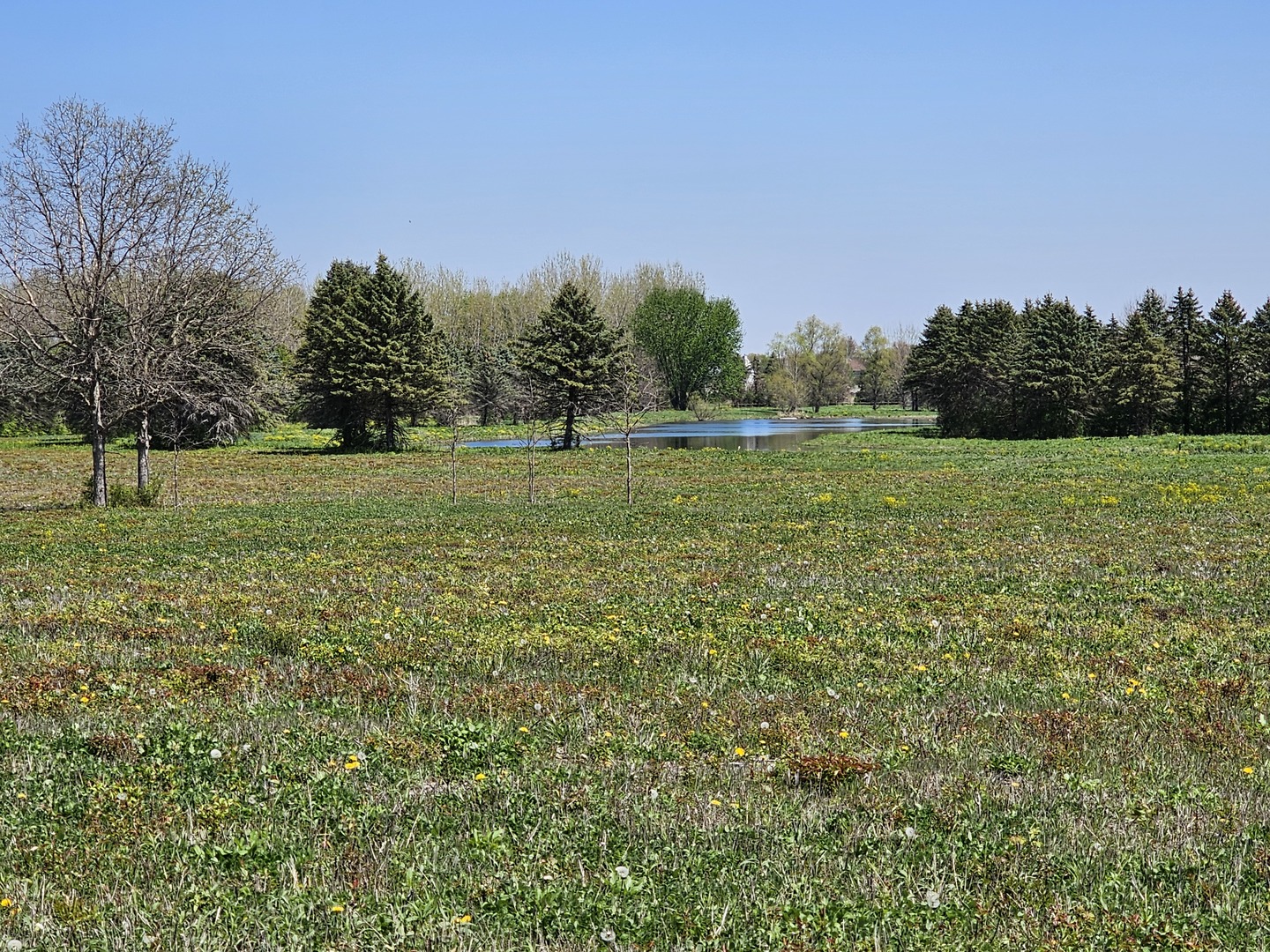 39-w966 Main Street Road Batavia, IL 60510 - Photo 9 of 20 Gallery Image 9