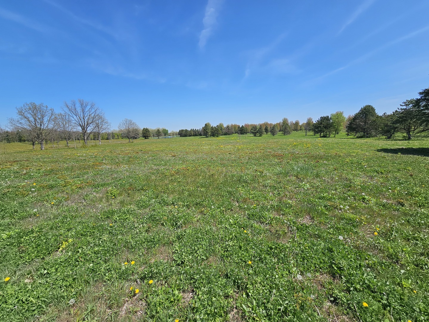 39-w966 Main Street Road Batavia, IL 60510 - Photo 10 of 20 Gallery Image 10