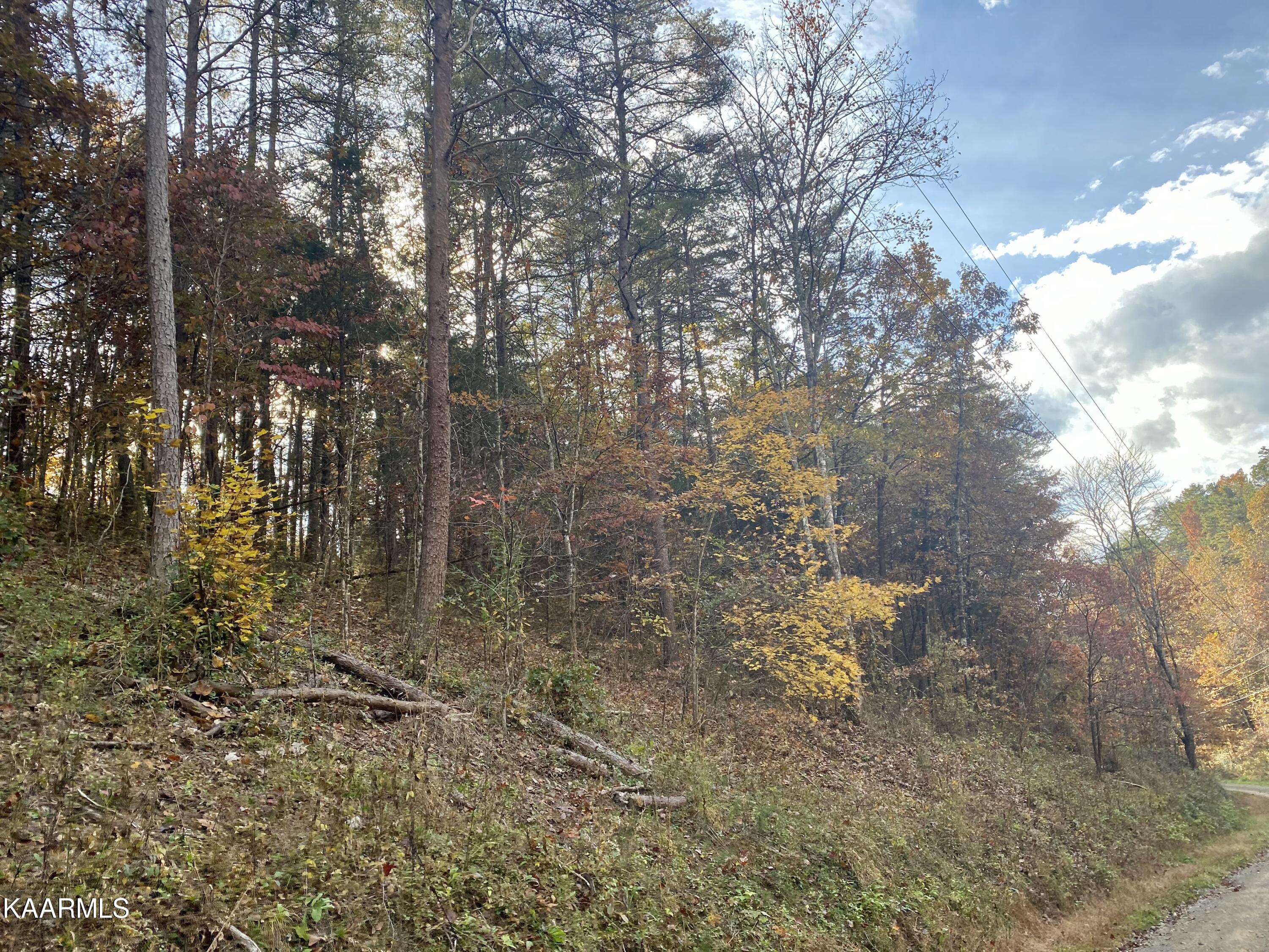 Maples Branch Road Sevierville, TN 37876 - Photo 2 of 8 IMG_E8315