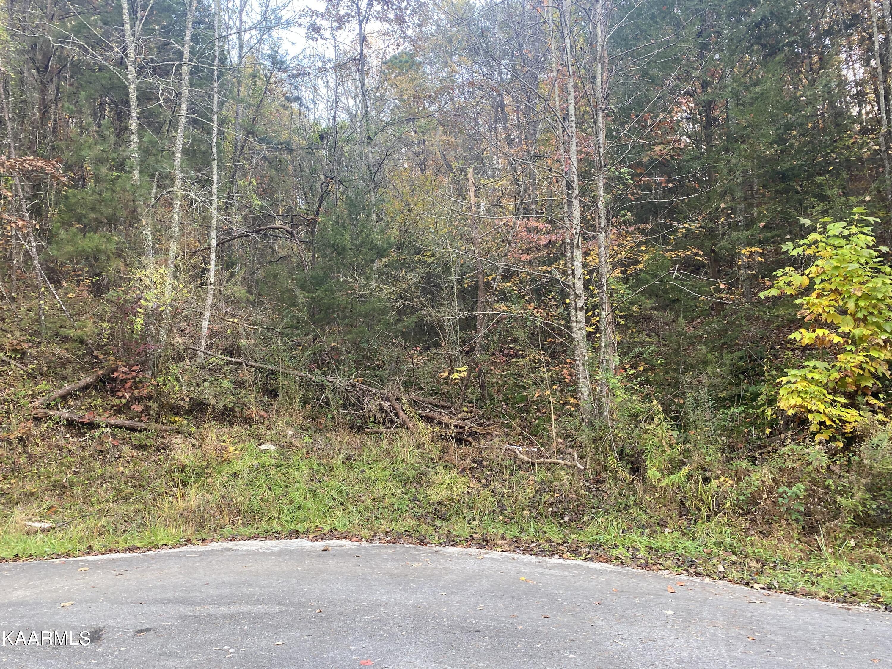 Maples Branch Road Sevierville, TN 37876 - Photo 3 of 8 IMG_8316