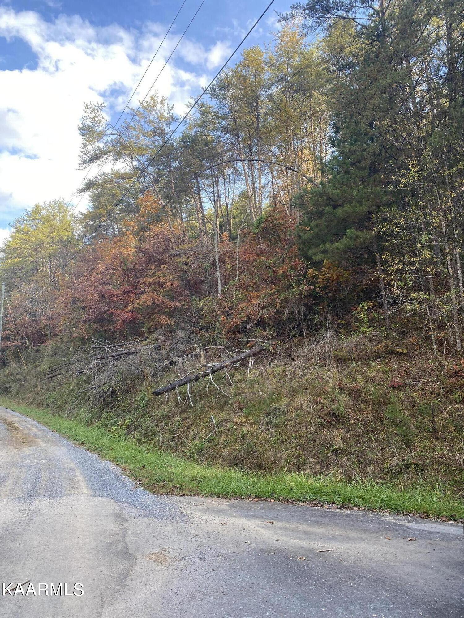 Maples Branch Road Sevierville, TN 37876 - Photo 4 of 8 IMG_8310