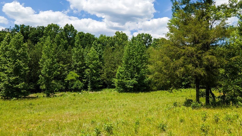 1 State Highway Calhoun, TN 37309 - Photo 12 of 20