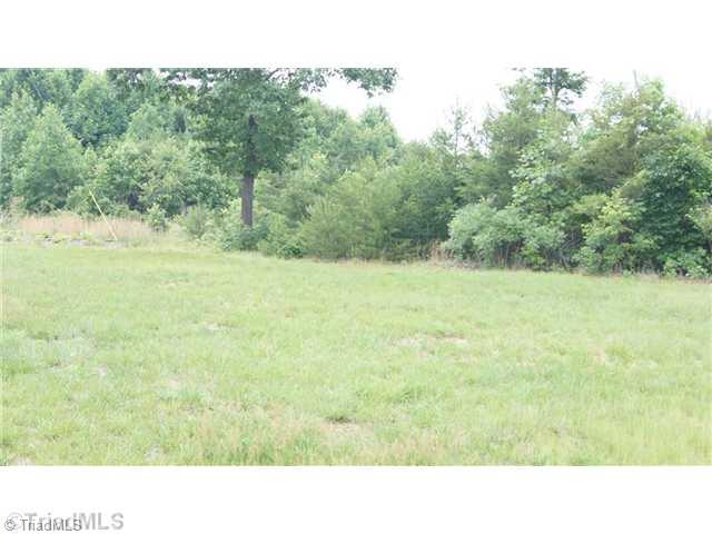 341 Butler Lake Road Reidsville, NC 27320 - Photo 16 of 16 Land.