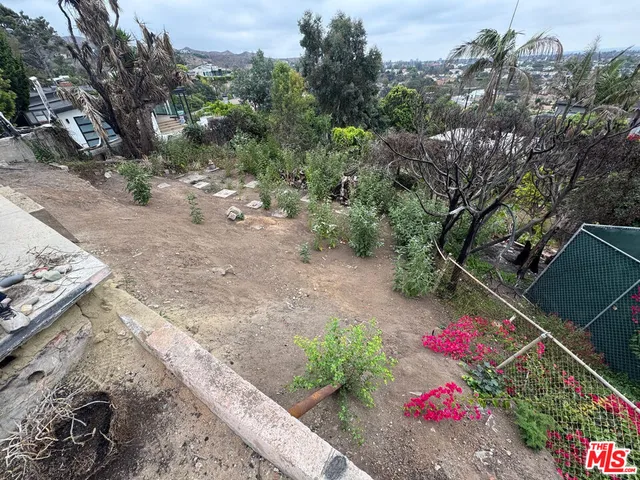 a view of a flower arrangement in backyard