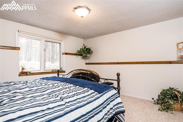 9115 Hardin Road Colorado Springs, CO 80908 - Photo 24 of 35 Gallery Image 24