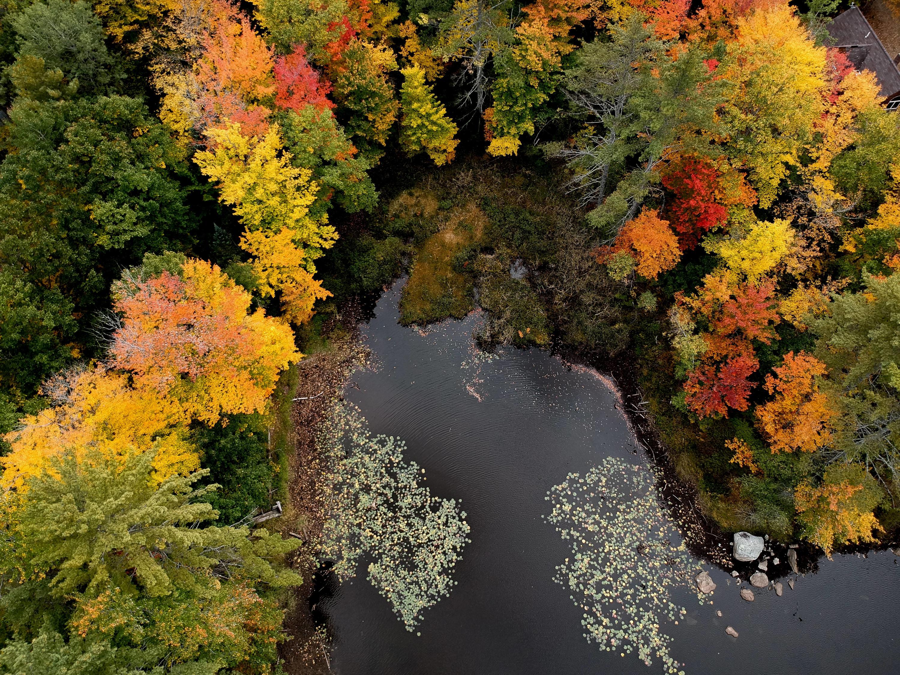 Lot 3 Goss Pond Road Bethel, ME 04217 - Photo 10 of 15 DJI_0390(2)
