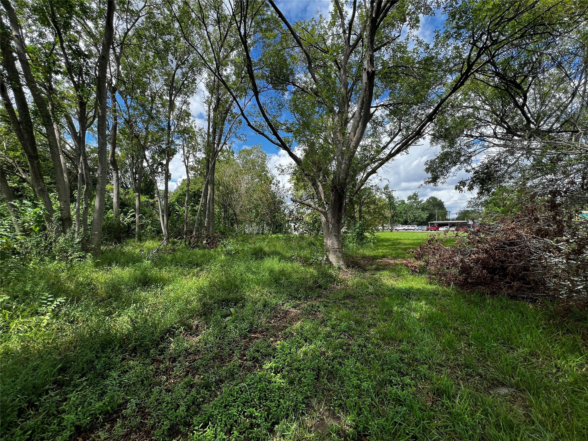 2428 Red Bluff Road Pasadena, TX 77506 - Photo 3 of 3 a view of outdoor space and yard