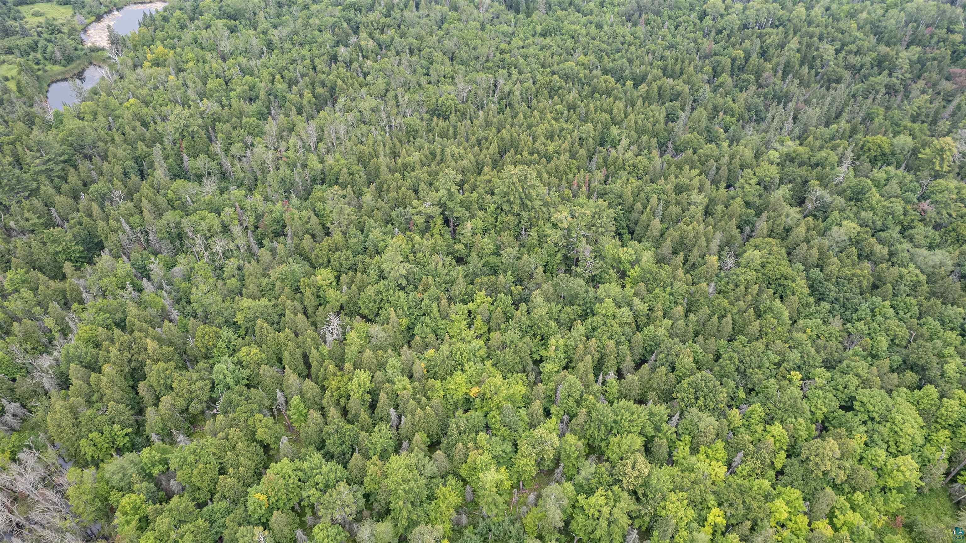 30-xx Lavis Road Duluth, MN 55804 - Photo 4 of 17